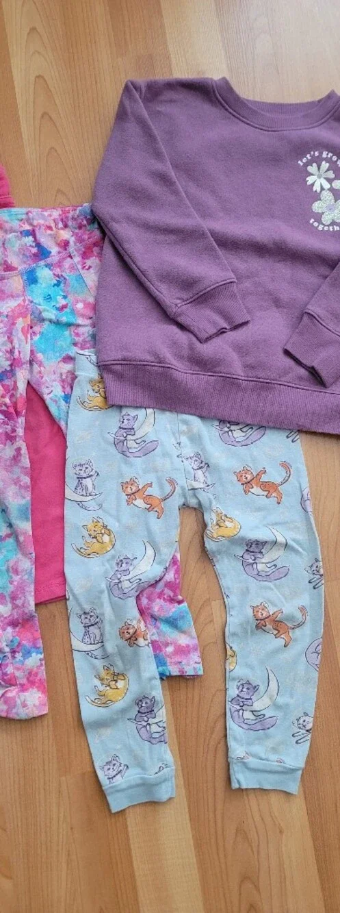 Jumping Beans Girls 4T Clothes Sweater Assorted Pants & Longsleeve Tops Lot Of 9